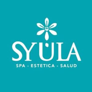 Servicios de diseño WEB y SEO en Miami,